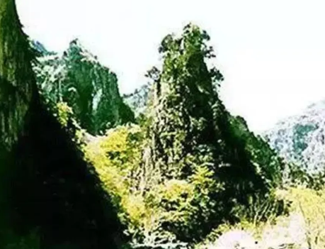 1612791937968962.png 11.png