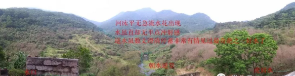 1613306117450013.png
