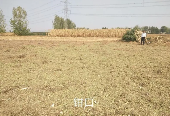 1613307526334438.png