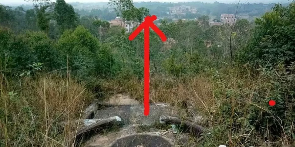 1613477949627530.png