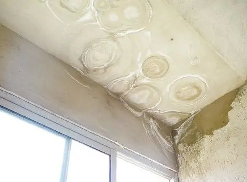 1616455832293915.png 2.png