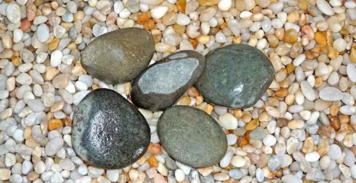 1616468765893300.png 1.png