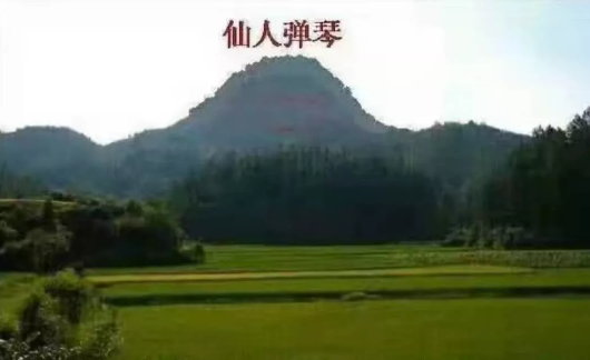 1617255743932727.png 3.png