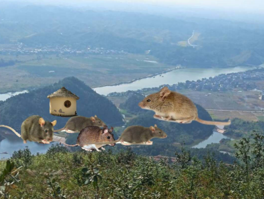 1617255809525691.png 9.png