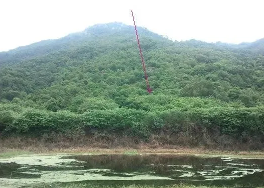 1617771250244406.png 3.png