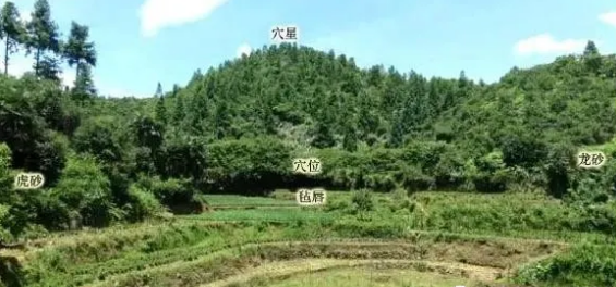 1617771258593541.png 4.png