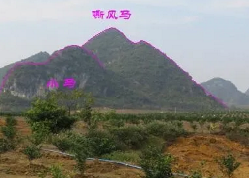 1617872222504749.png 7.png