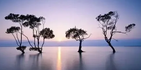 1618390885840277.png 1.png