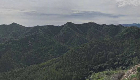 1620052558354292.png 1.png