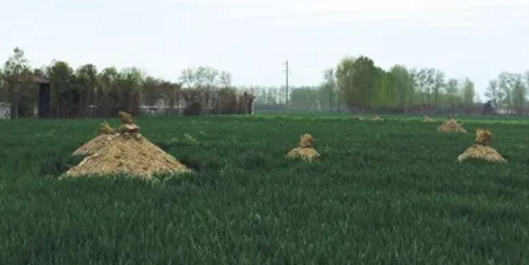 1620481023534629.png 3.png