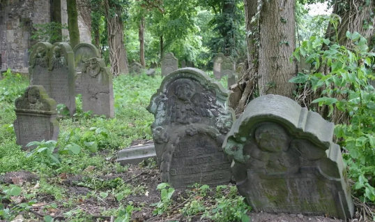 1620482573949161.png 7.png