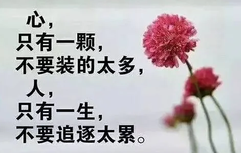 1620703510965931.png 1.png