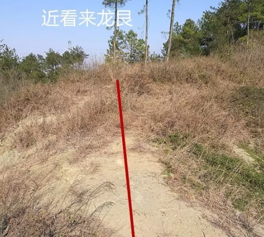 1621330169165266.png