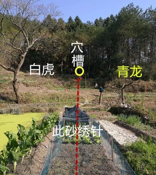 1621330613143243.png