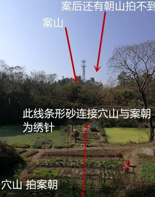 1621330613558841.png