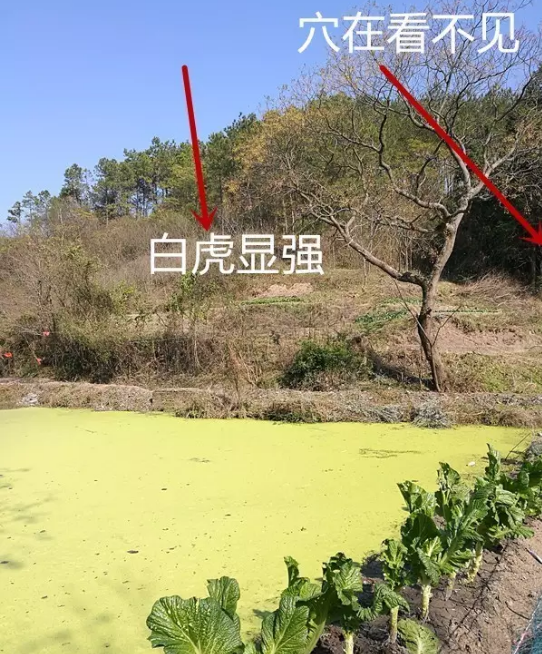 1621330616280703.png