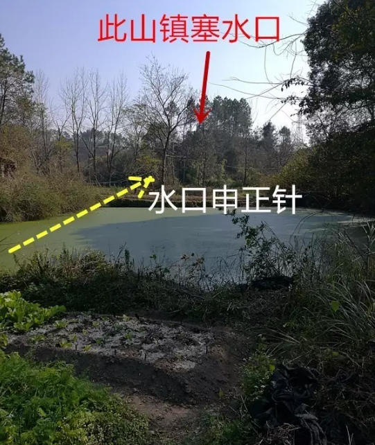 1621330617976137.png