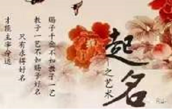 1621420625885660.png 1.png