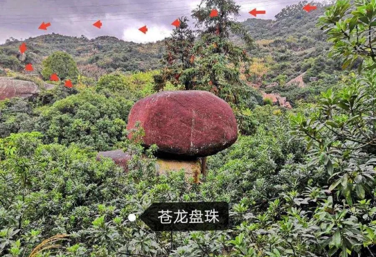 1621683377429551.png