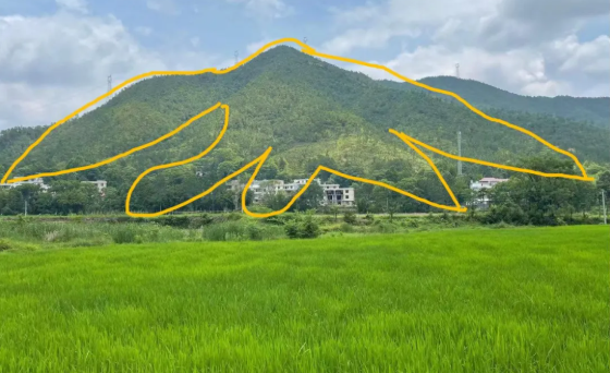 1625183296624571.png 1.png