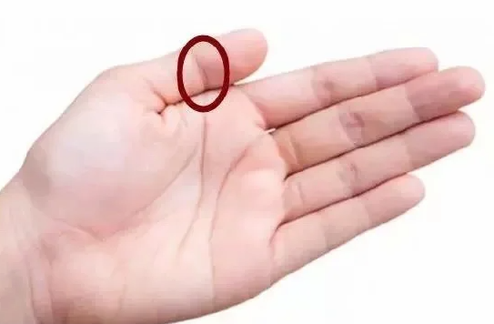 1625614669344510.png 1.png