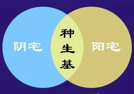1625832502261654.png 1.png