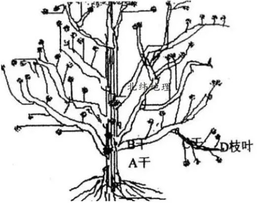 1630282800564805.png 5.png