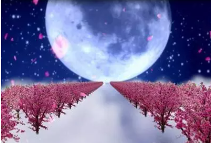 1630456168826851.png 3.png