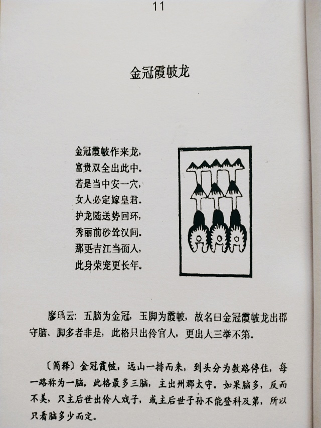 1631363585422733.jpg