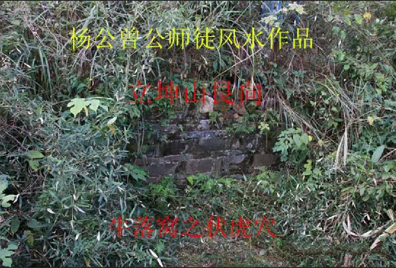 1632317798880066.png