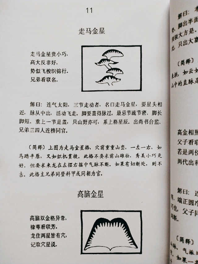 1633702433300928.jpg