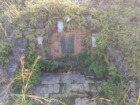 1636714184860709.png