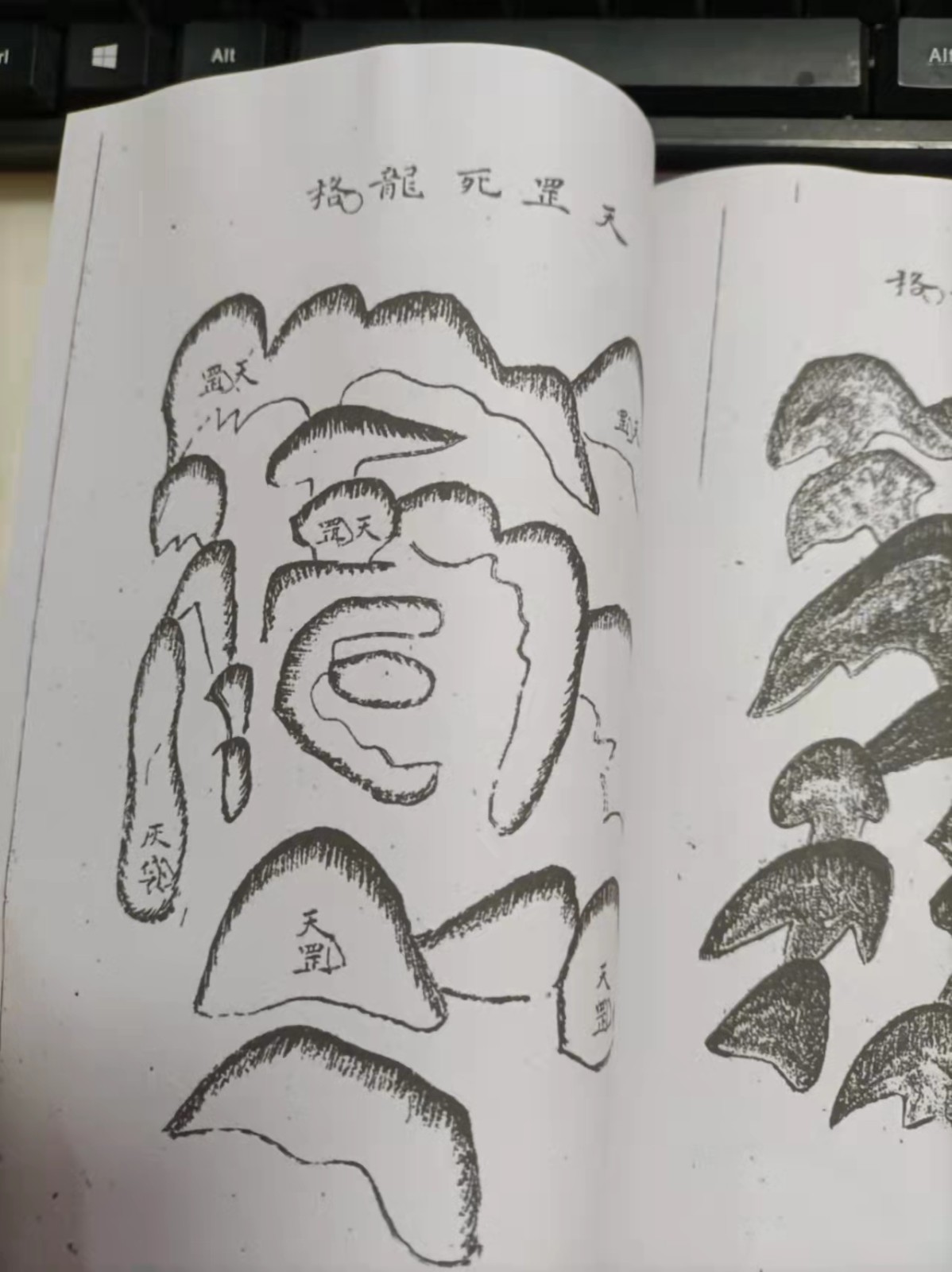 1637931122346359.jpg