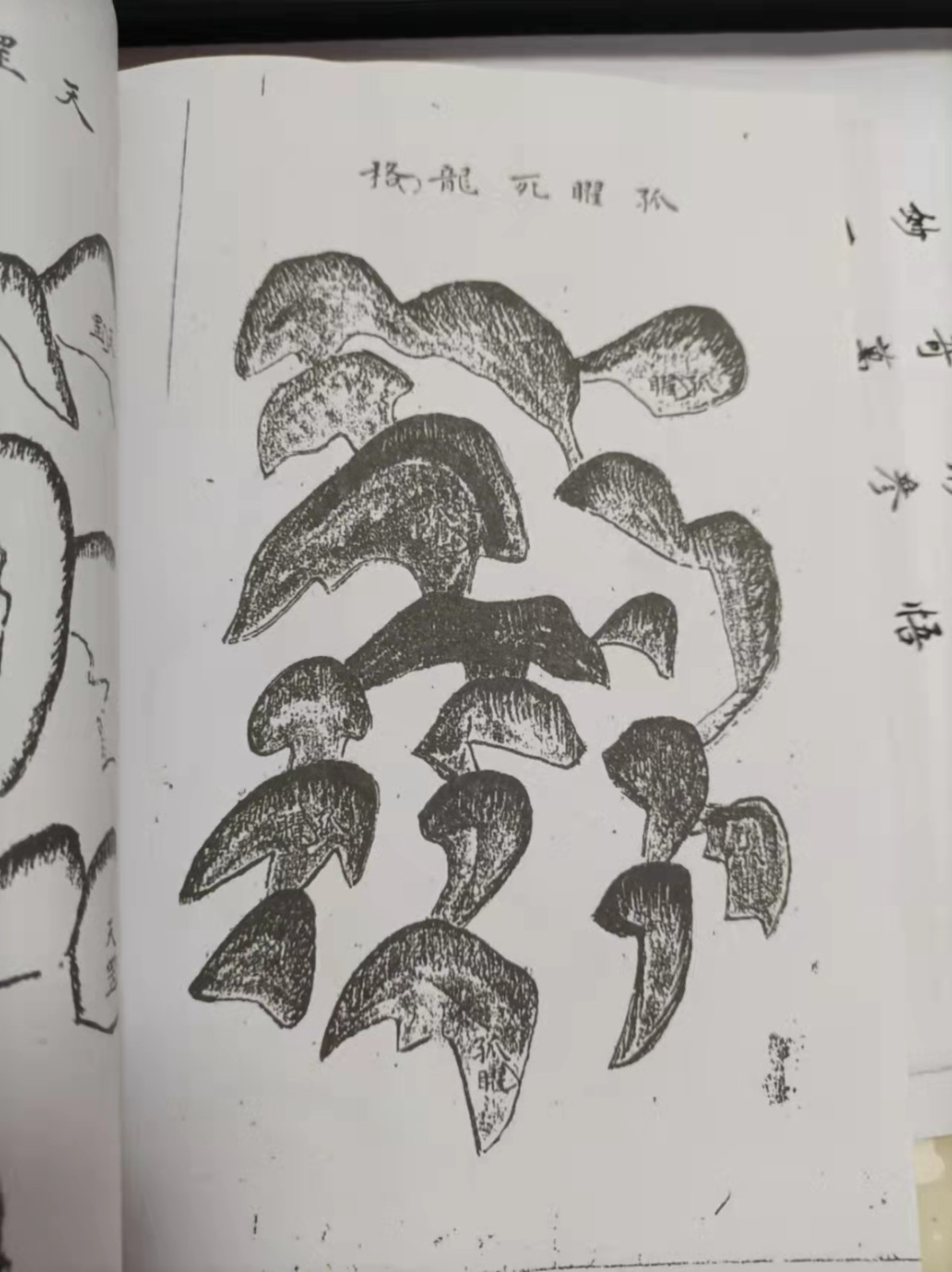 1637931122721172.jpg