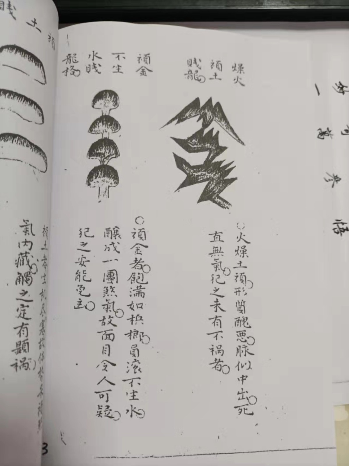 1637931122894274.jpg