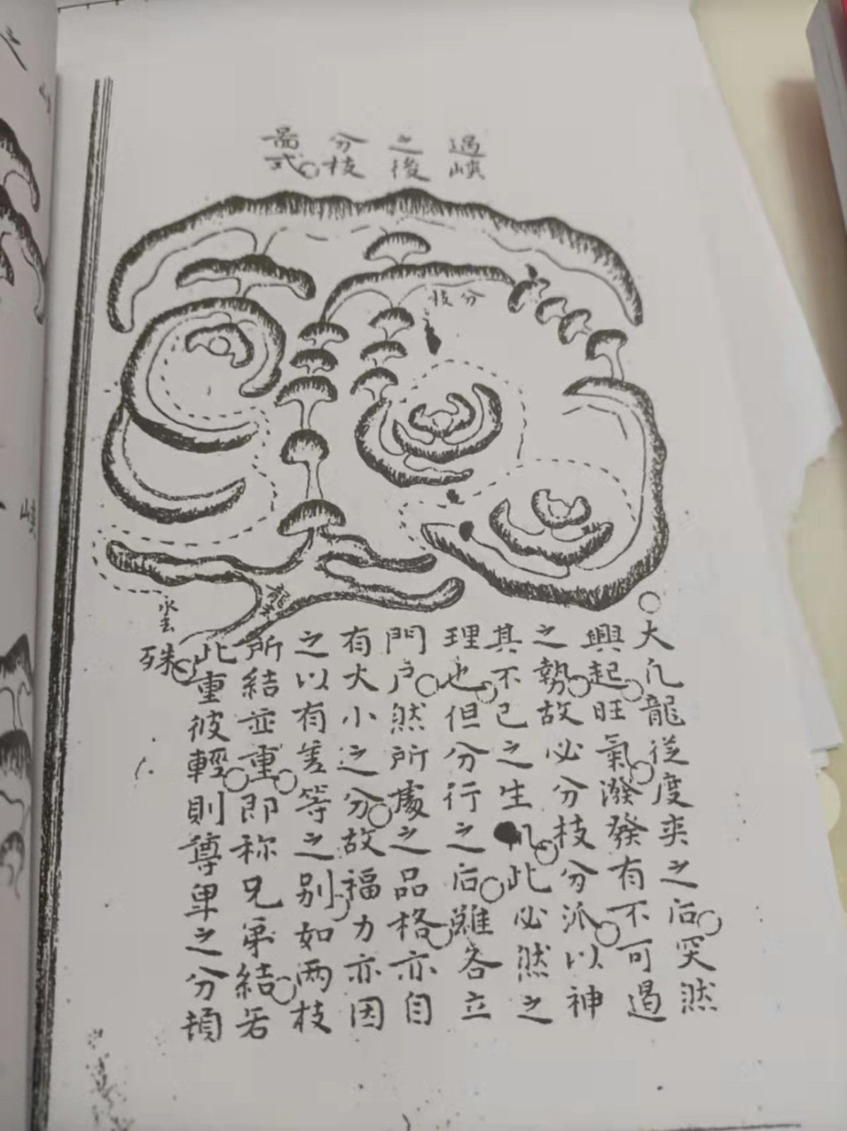 1637931123504236.jpg