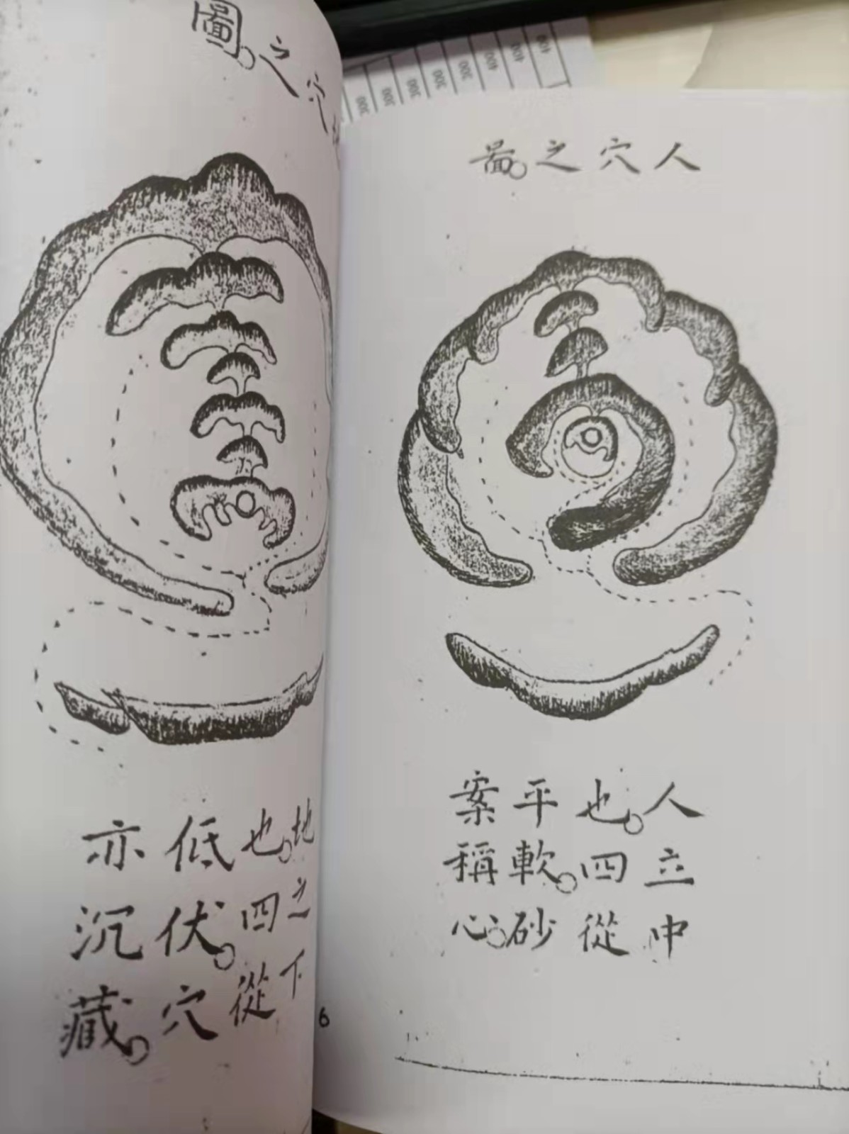 1637931124165525.jpg