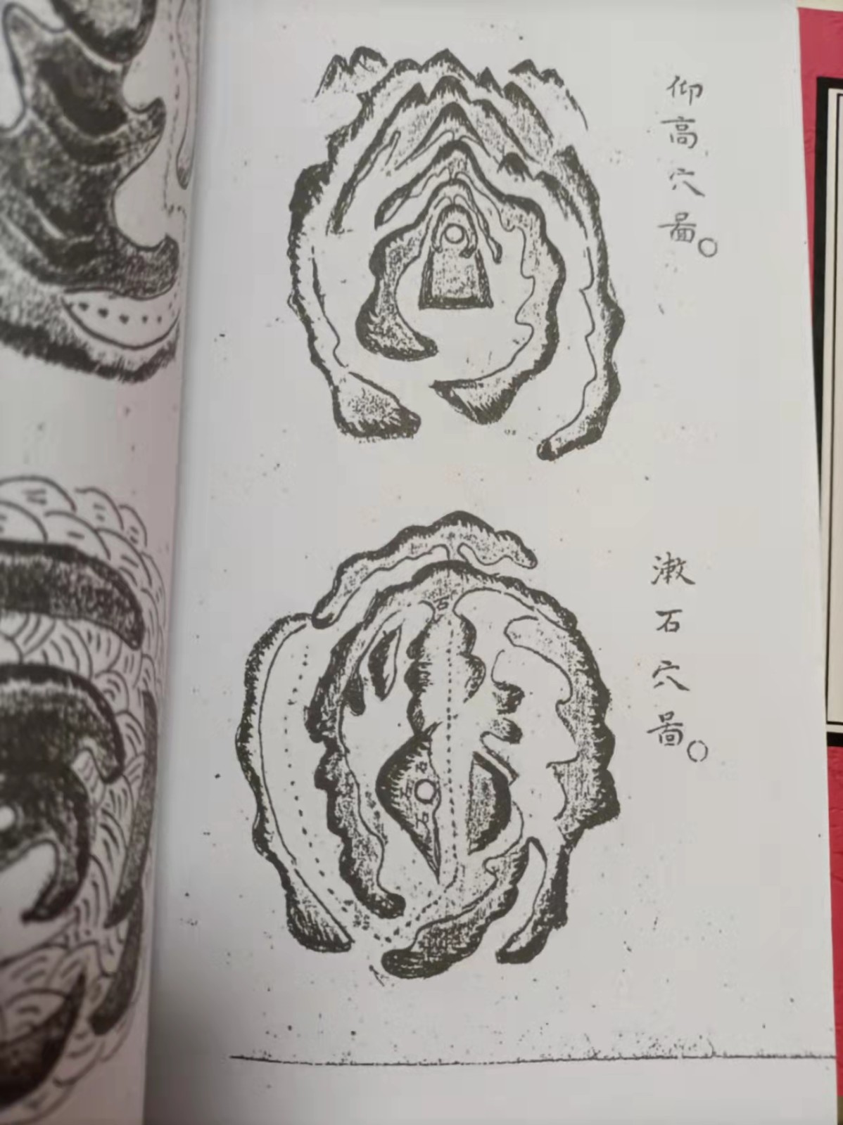 1637931124204946.jpg