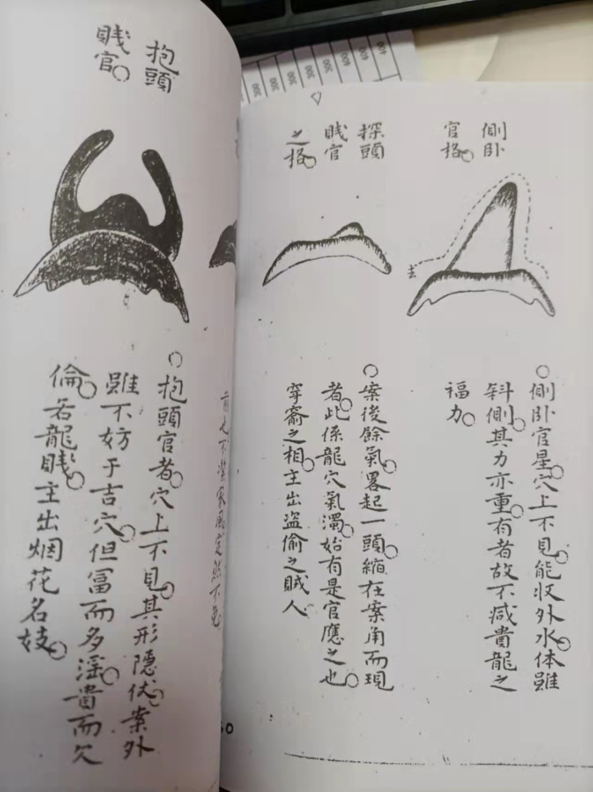 1637931124276610.jpg
