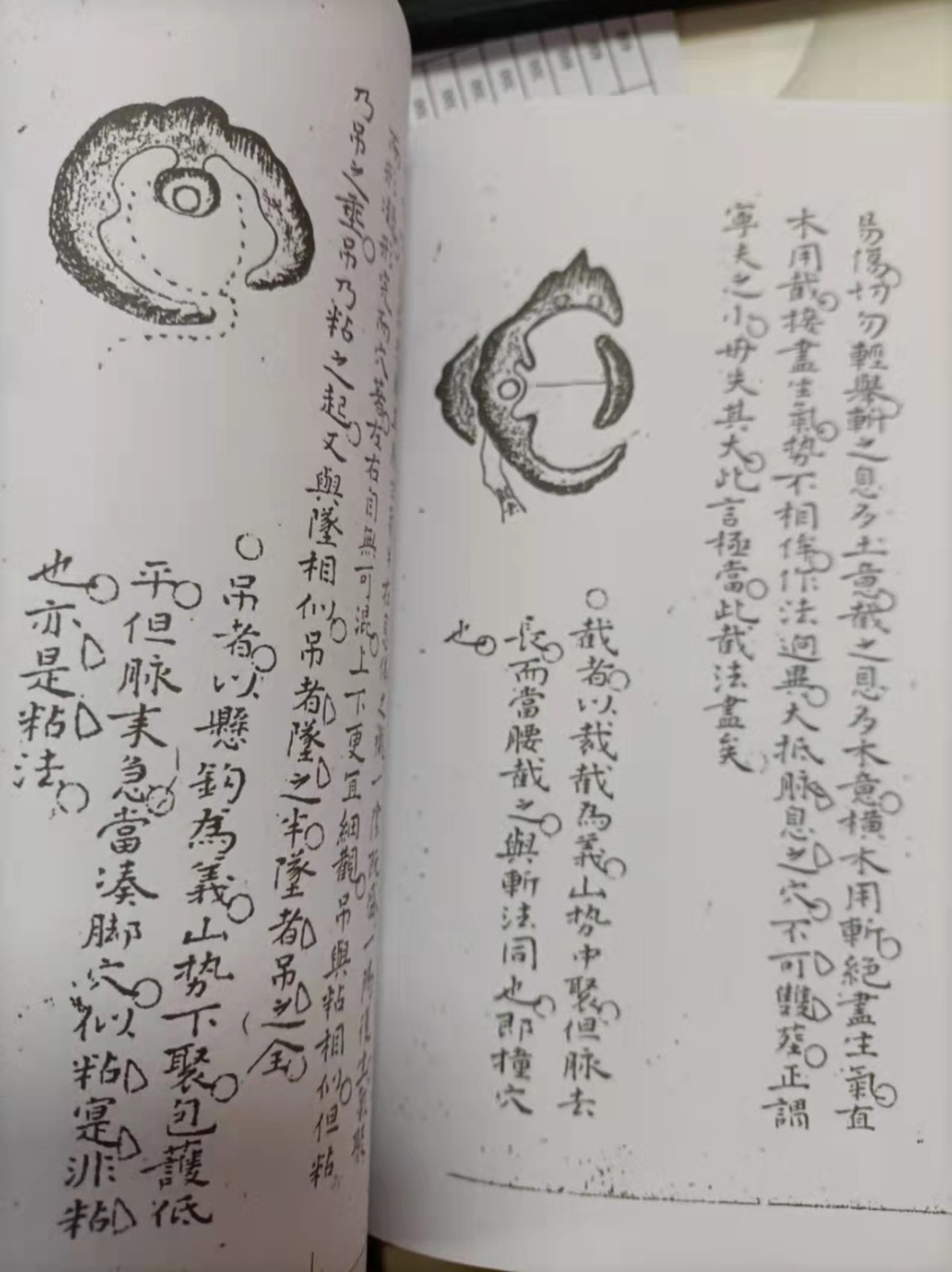 1637931124295714.jpg