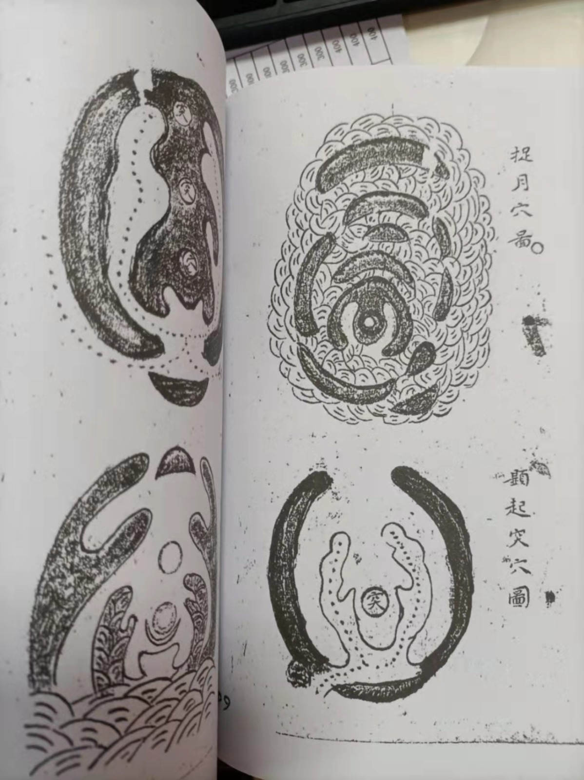 1637931124425217.jpg