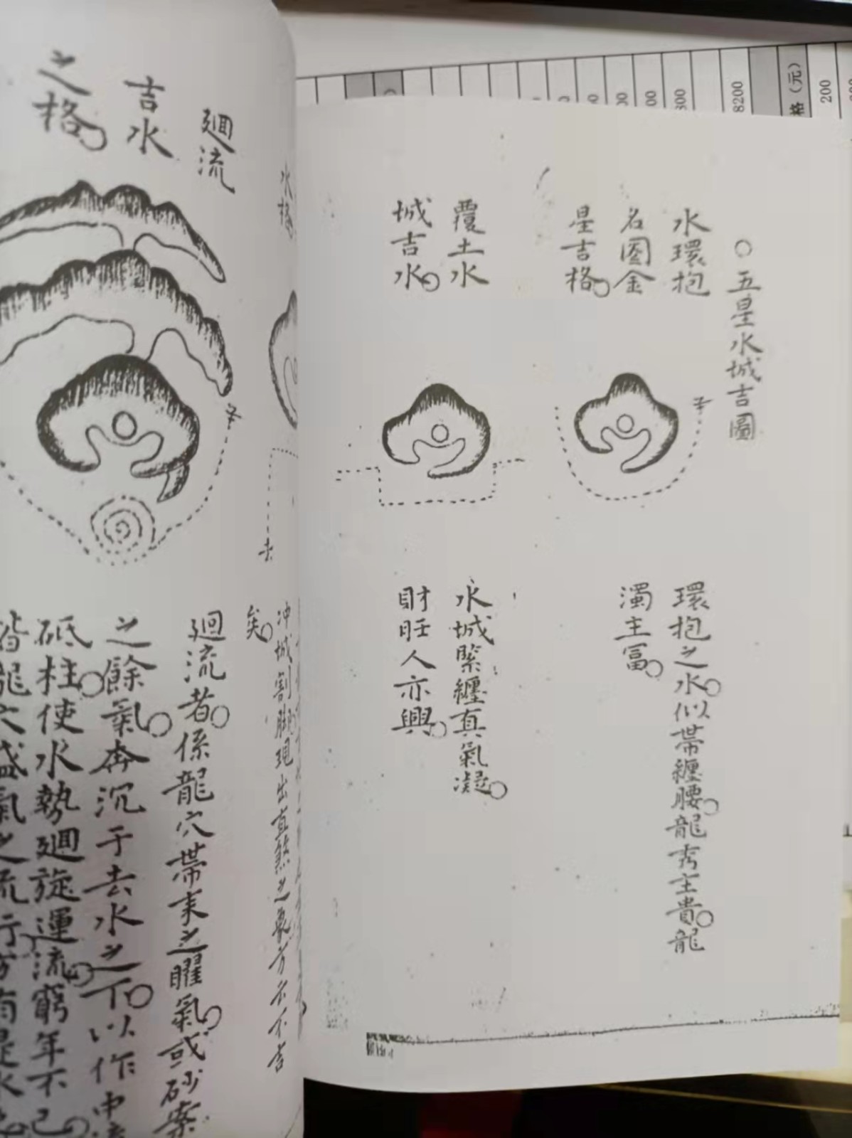 1637931125337980.jpg