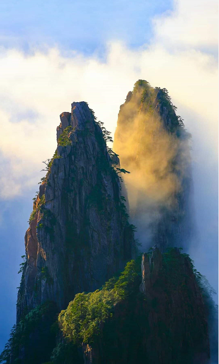 1644021023620831.png 1.png