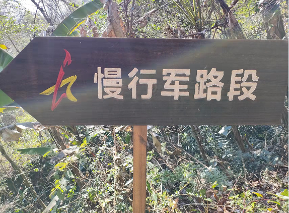 1646058304143253.png