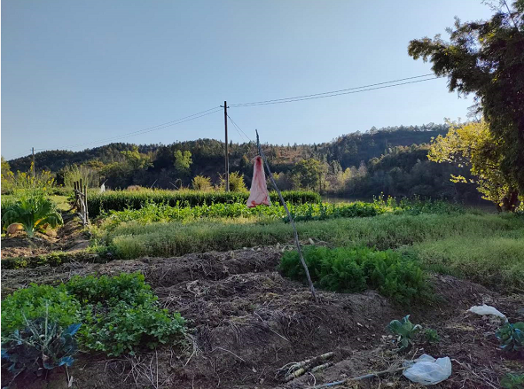 1647097111151396.png
