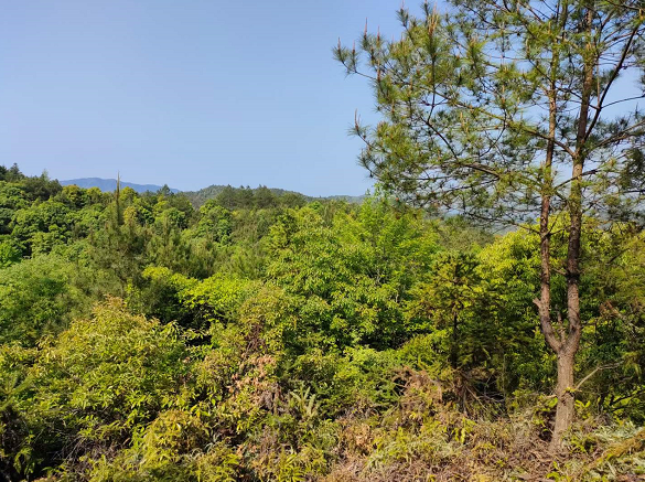 1649770898943766.png