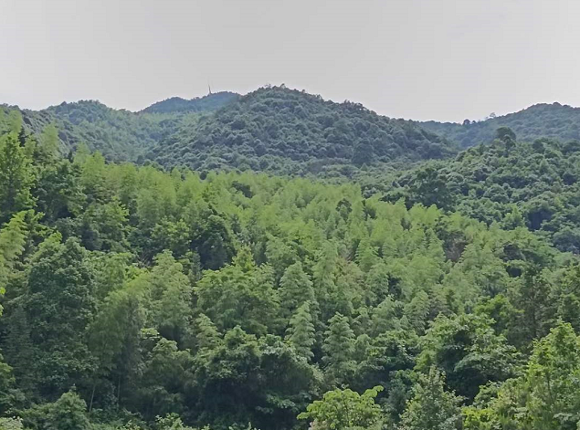 1653146620371489.png