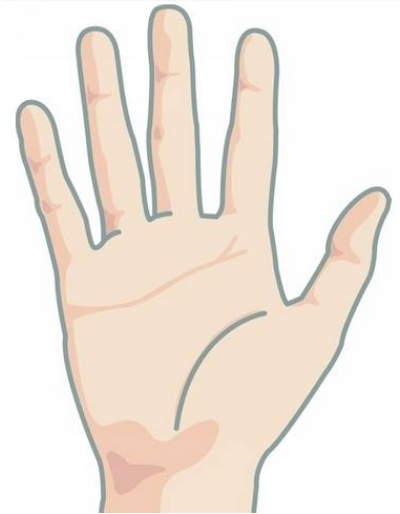 1654695312329119.png 4.png