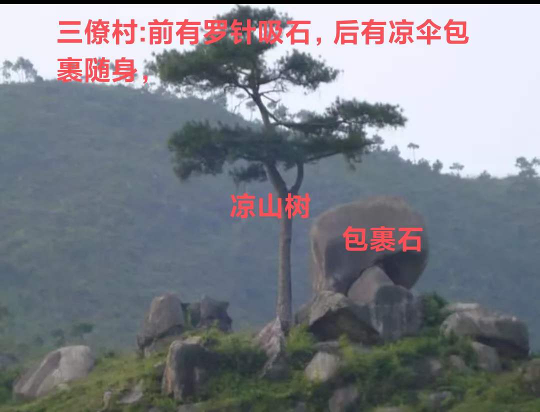 1674736932460765.jpg