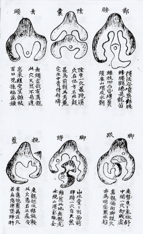 1681000465650598.png